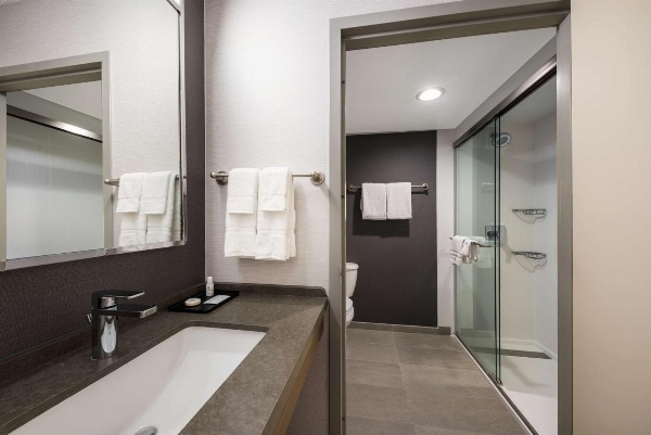 Sonesta Select San Jose Airport image 4